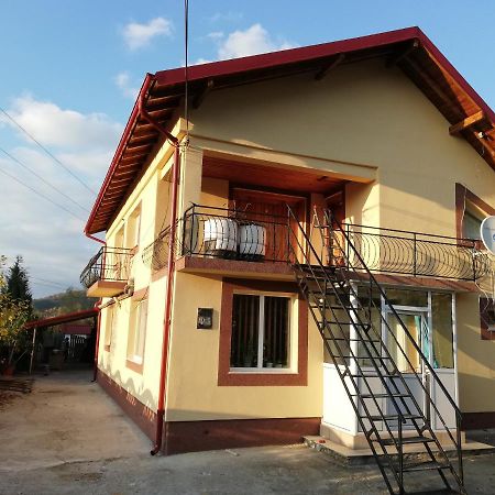 מלון Budeasa Mare Casa Lidia Si Gogu מראה חיצוני תמונה