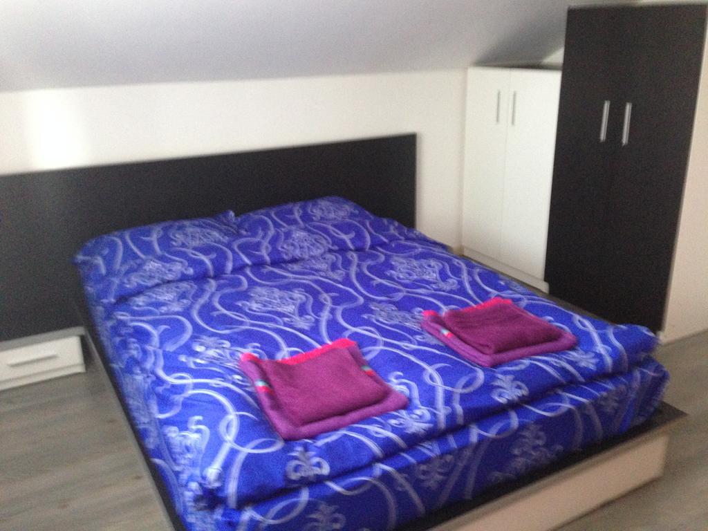 מלון Budeasa Mare Casa Lidia Si Gogu מראה חיצוני תמונה