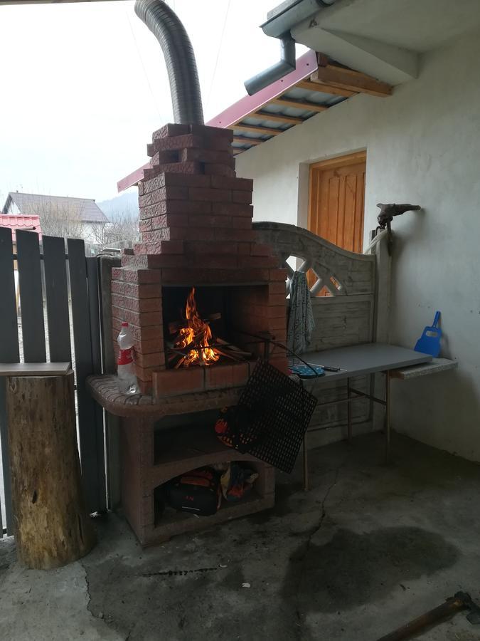 מלון Budeasa Mare Casa Lidia Si Gogu מראה חיצוני תמונה