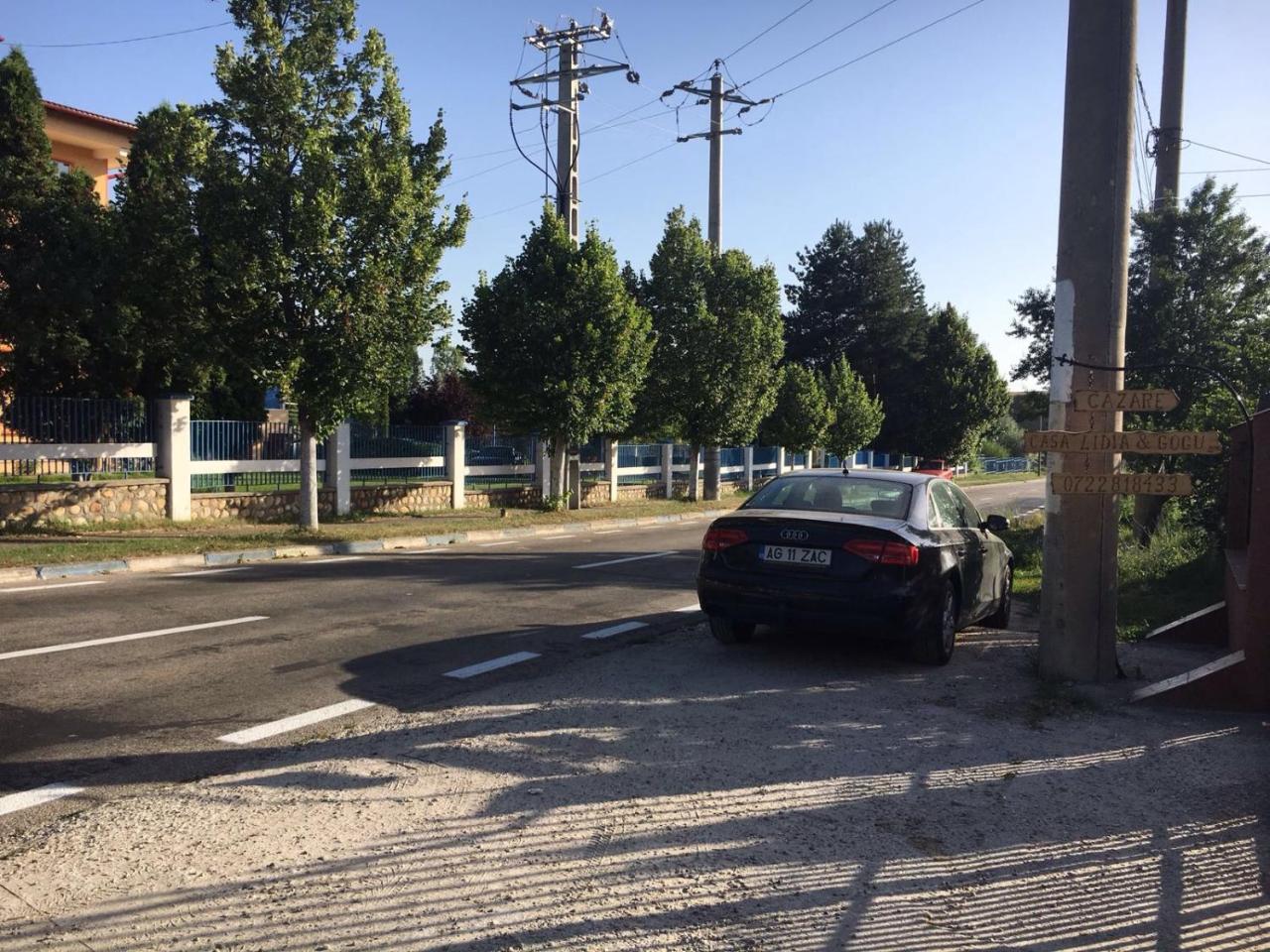 מלון Budeasa Mare Casa Lidia Si Gogu מראה חיצוני תמונה