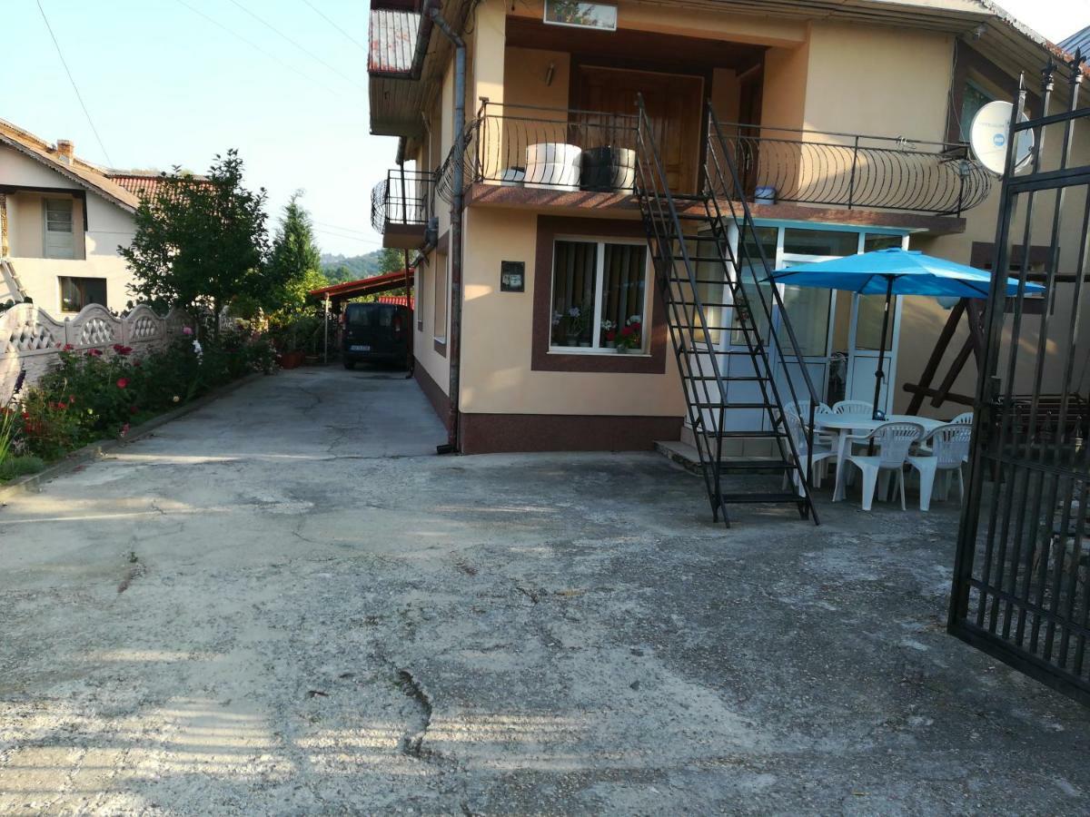 מלון Budeasa Mare Casa Lidia Si Gogu מראה חיצוני תמונה
